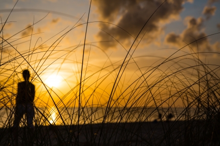 Ocean Beach in Florida viewed thru Tall Grass at Duskの写真素材