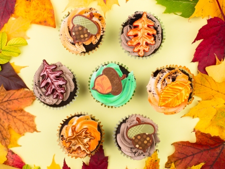 Fall concept  seven delicious cupcakes  framed with colourful autumn leavesの写真素材