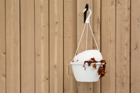 A flowerpot hanging on a fence with a thick layer of ice and snow on top of itの写真素材