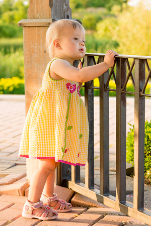 Baby girl in summer park looks over a fenceの写真素材