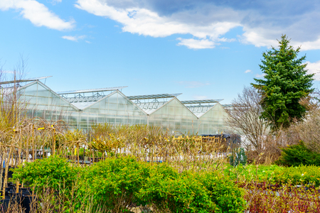 Greenhouses and the garden Center with new plantsのeditorial素材