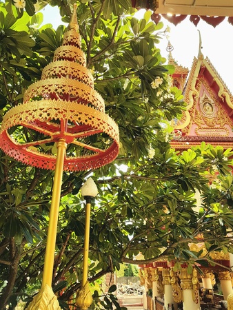 Temple in thailandの素材