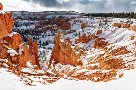 Winter snow in Bryce Canyon National Park, Utahの写真素材