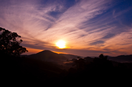 Morning at BOH TEA SUNGAI PALAS Plantation.のeditorial素材