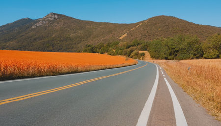 Asphalt road through the field of colza with mountains in the backgroundの素材