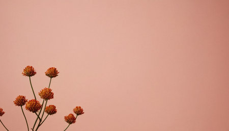Red clover flowers on pink background. Copy space for text.の素材