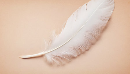 White feather on beige background. Close up. Copy space.の素材