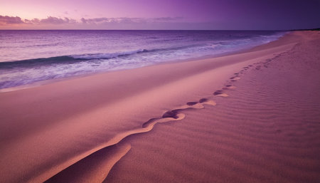 Beautiful sunset on the beach of Punta Cana, Dominican Republicの素材