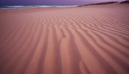 Sand dunes on the beach in the evening, South Australia.の素材