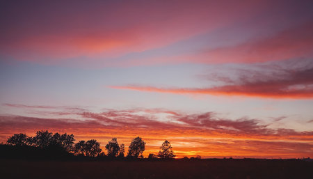 Sunset over a field with trees in the foreground and a pink skyの素材