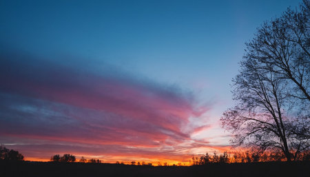 Beautiful sunset over the field with trees in the foreground. Panoramaの素材