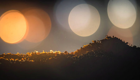 abstract background with bokeh defocused lights in the nightの素材