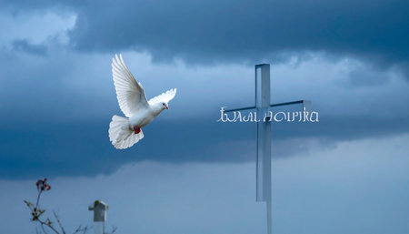 Pigeon flying in front of the Cross of Fatima, Portugalの素材