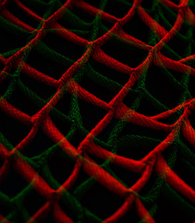 abstract background of red and green mesh on a black background.の素材