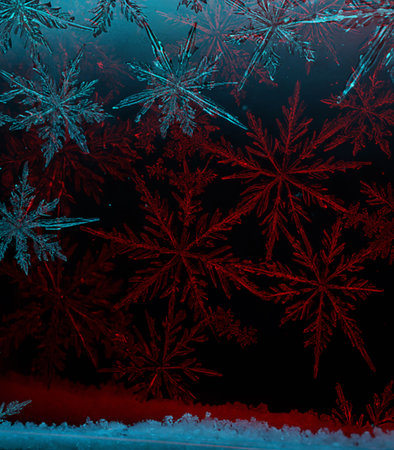 Snowflakes on a dark background. Christmas and New Year background.の素材