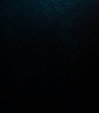 grunge background with space for text or image. Dark edged.の素材