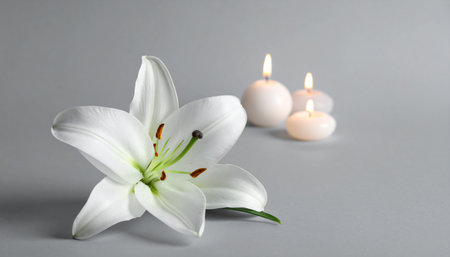 Beautiful lily and candles on grey background, closeup. Space for textの素材