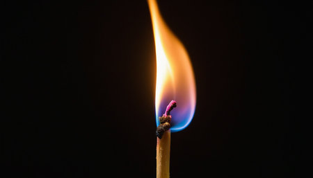 Burning match on a black background. Close-up image.の素材