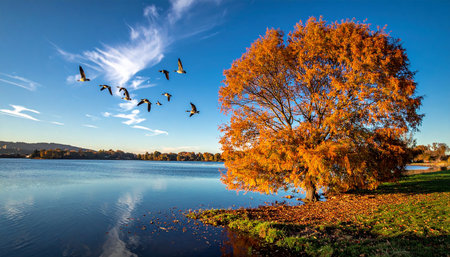 Autumn landscape with a tree and birds flying over the lake in autumnの素材
