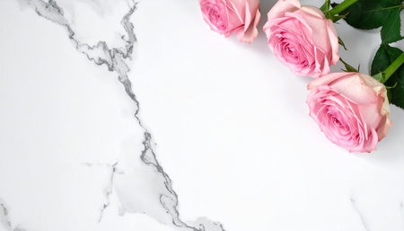 Pink roses on white marble background. Flat lay, top view, copy spaceの素材