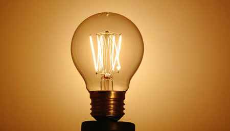 Incandescent light bulb on a brown background. Selective focus.の素材