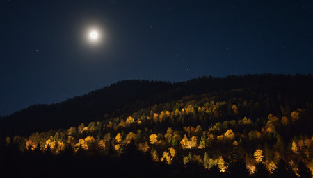 Full moon over the autumn forest at night. Carpathians, Ukraineの素材