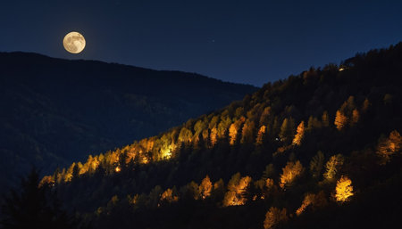 Night landscape with full moon over the forest in Carpathian mountainsの素材