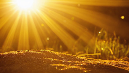 Sunset on the beach with sunbeams. Summer background.の素材