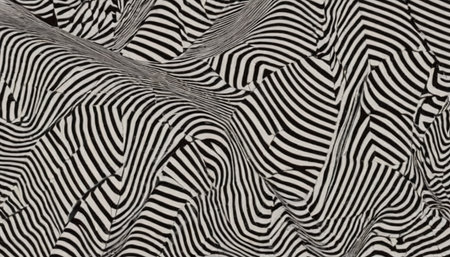 Zebra skin texture background. Abstract animal skin pattern. Vector illustration.の素材