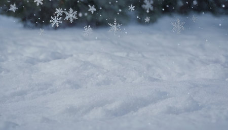 Snowflakes in the snow. Winter background. Snowflakesの素材