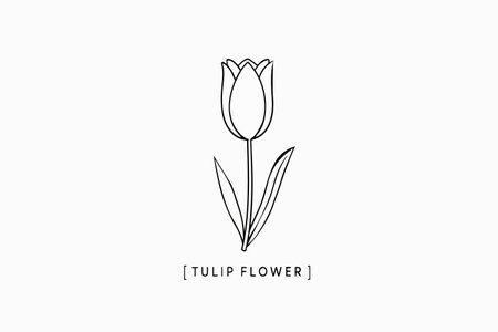 A detailed tulip flower drawn in clean black lines, enclosed in modern brackets. This minimalist botanical design symbolizes balance and sophistication â perfect for logos, postersの素材