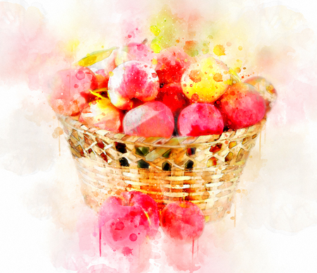 Watercolor Illustration Apples in Basketの写真素材