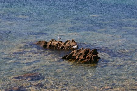 Two Seagulls and the Sea in the middle of nowhereの写真素材
