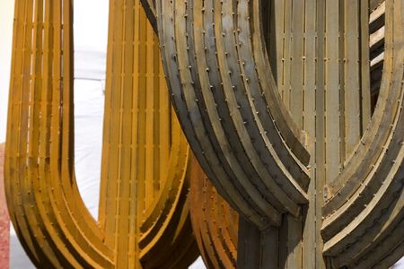 Looking up to the Cactus with Cloudy Backgroundの写真素材