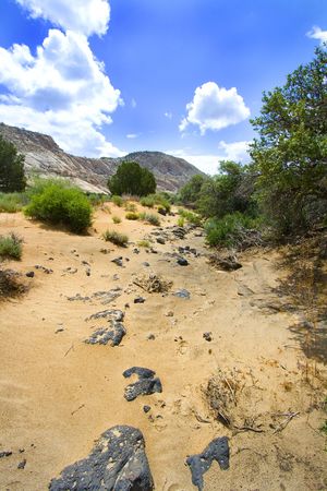 Snow Canyon in St. George, Utah