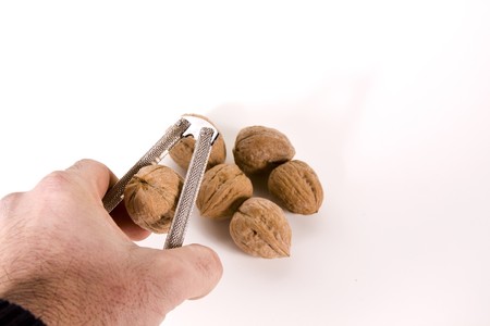 Cracking Walnuts with a Nutcracker  - White Background