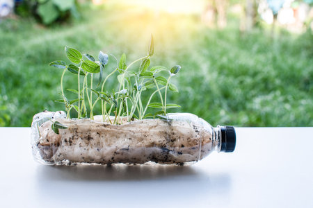 Plastic recycle. Close up and selective focus on the tree are planted in recycled plastic bottles on the table white. Hydroponics in a plastic bottle on the desk wooden. blurred green grass backgroundの写真素材