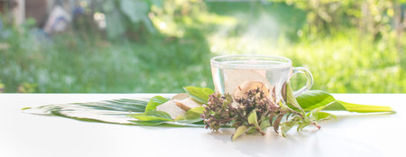 A glass of warm water and fresh ginger cut into thin pieces on the galangal leaves. Basil leaves on the side Put it on a white table. Concept drink ginger water to prevent the coronavirus (COVID-19)の写真素材