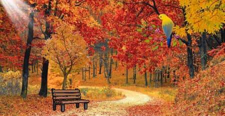 Autumn landscape with a bench and a parrot in the parkの写真素材