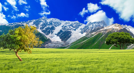 Beautiful spring landscape with snow mountain and green meadow. Nature backgroundの写真素材