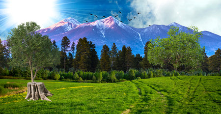 Beautiful spring landscape with snow-capped mountains in the backgroundの写真素材