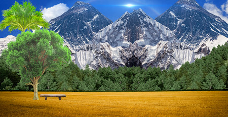 Wooden bench in the middle of a meadow with mountains in the backgroundの写真素材