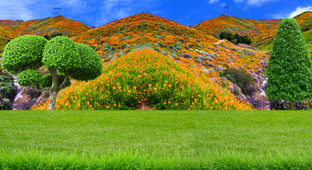 Colorful flower garden with green grass field and blue sky background.の写真素材