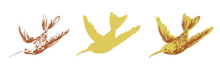 Color illustration in two tone of a stylized, painted, painterly, flying yellow humming bird, with other yellow accents and  shapes on an isolated white backgroundの写真素材