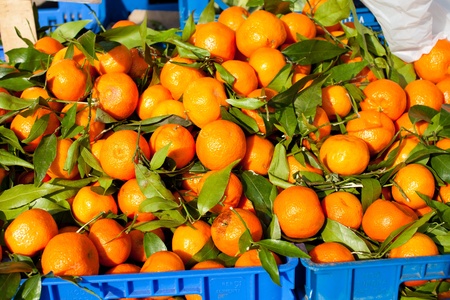 Box of fresh mandarins at market stallの写真素材