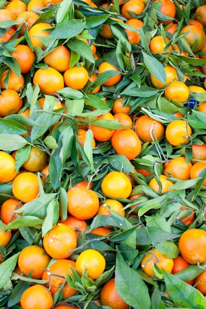 Box of fresh tangerines at market boothの写真素材