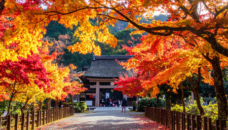 Autumn leaves at Kiyomizu-dera Temple in Kyoto, Japanの素材