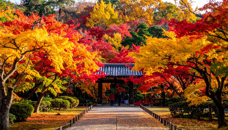Autumn leaves in Changdeokgung Palace, Seoul, South Koreaの素材
