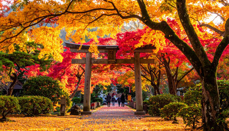 Autumn leaves in Kyoto, Japan. Kyoto is the capital and largest city of Japan.の素材