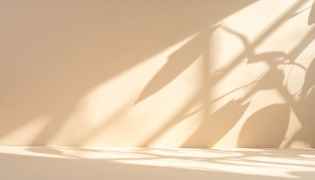 abstract light and shadow of leaf on wall and floor background.の素材